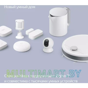 Умная колонка Яндекс Станция Миди (оранжевый) картинка 15